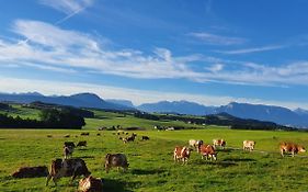 Idyllische Designer-Apartments Am Bio-Bauernhof In Salzburgerseenland Schmiding 10